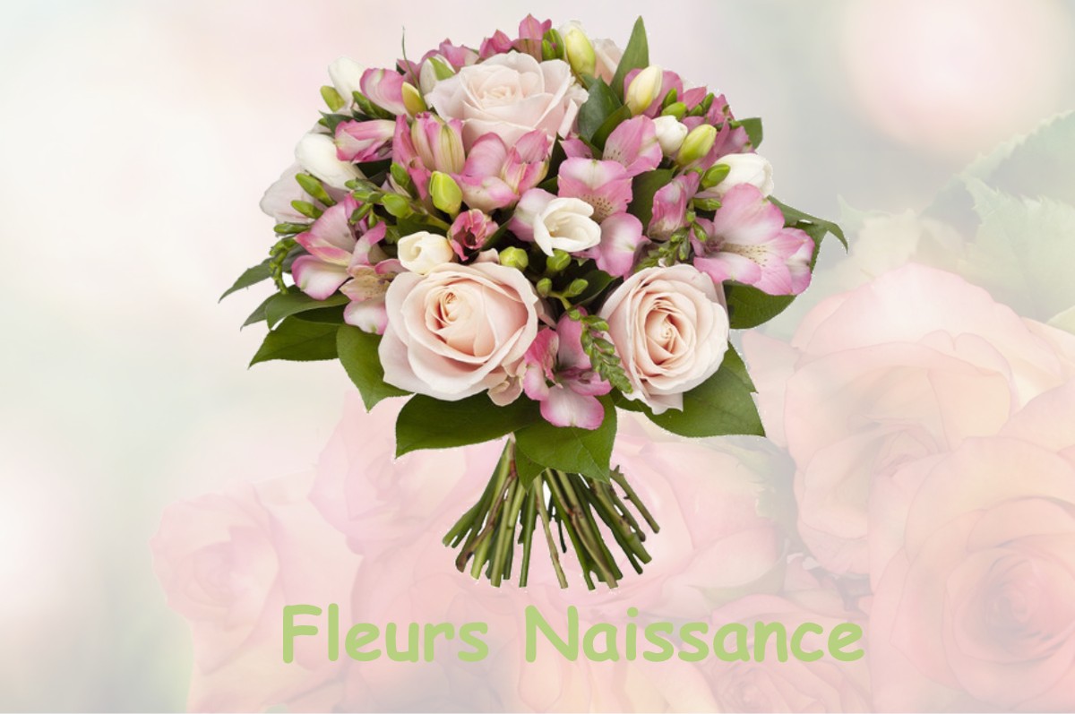 fleurs naissance CHAMPAGNAC-LA-RIVIERE